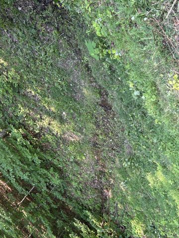 0 E Cave Spring Rd, Pulaski, TN 38478