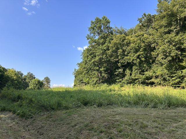 0 E Cave Spring Rd, Pulaski, TN 38478