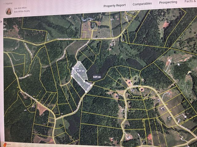 0 E Cave Spring Rd, Pulaski, TN 38478