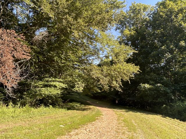 0 E Cave Spring Rd, Pulaski, TN 38478