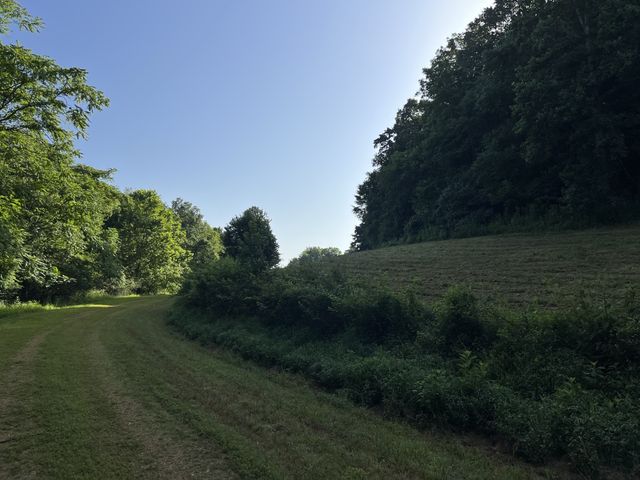 0 E Cave Spring Rd, Pulaski, TN 38478