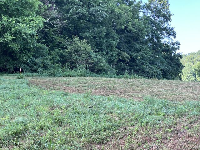 0 E Cave Spring Rd, Pulaski, TN 38478