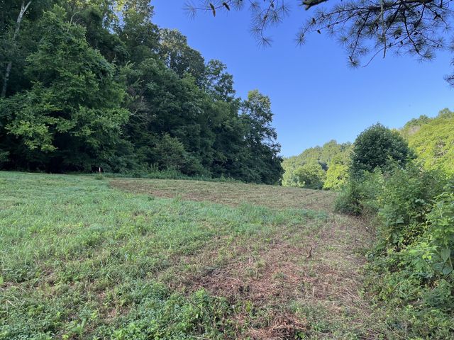 0 E Cave Spring Rd, Pulaski, TN 38478