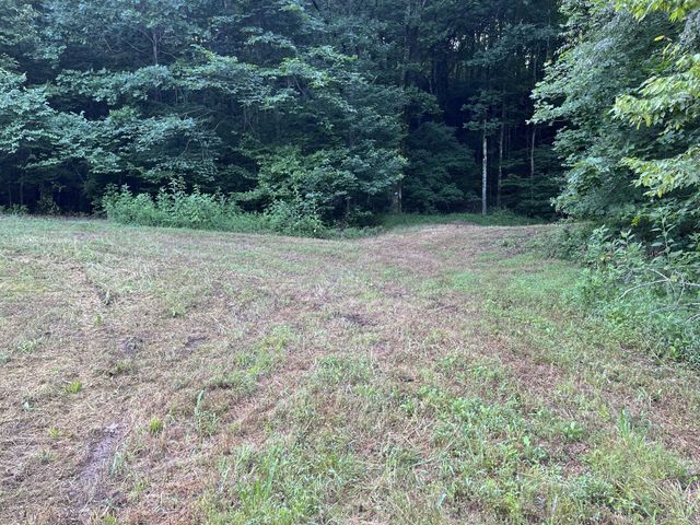 0 E Cave Spring Rd, Pulaski, TN 38478