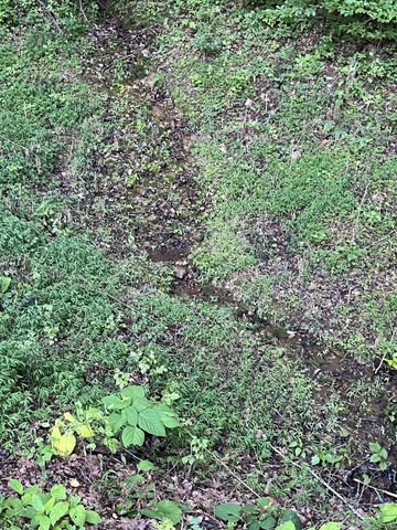 0 E Cave Spring Rd, Pulaski, TN 38478