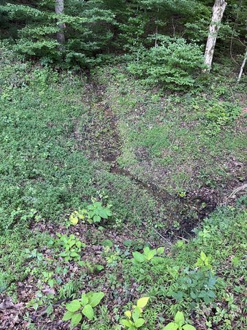 0 E Cave Spring Rd, Pulaski, TN 38478