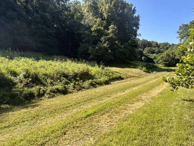 0 E Cave Spring Rd, Pulaski, TN 38478