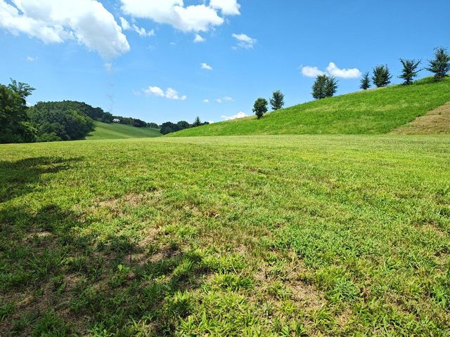 Lot 72 Espalier Drive, Decatur, TN 37322