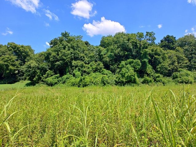 Lot 72 Espalier Drive, Decatur, TN 37322