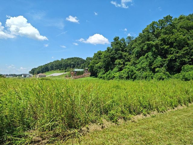 Lot 72 Espalier Drive, Decatur, TN 37322