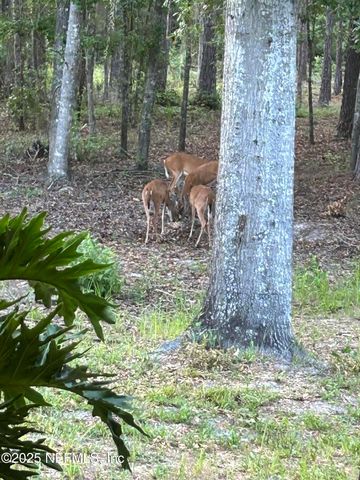 21329 SE 111 Avenue, Hawthorne, FL 32640