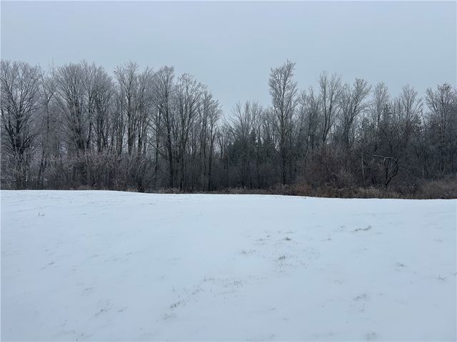 9580 Lodi Center Road, Lodi, NY 14860