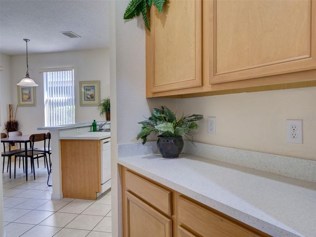 509 PINELOCH DRIVE, Haines City, FL 33844