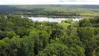 0 Oak Park Drive, Sugar Tree, TN 38380
