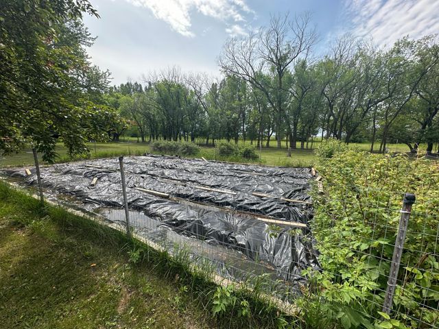 3796 300th Street, Cannon Twp, MN 56734