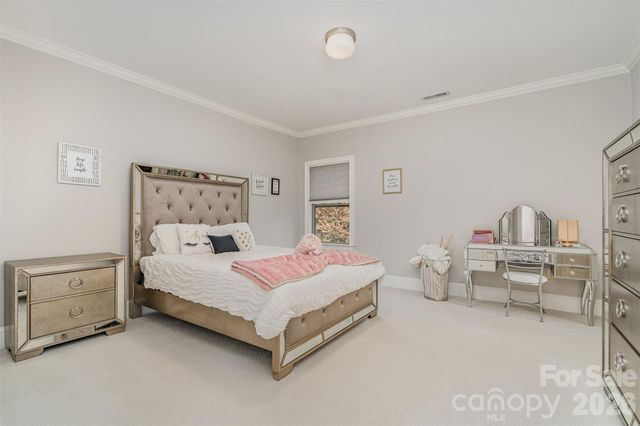 208 Pumpkin Seed Court, Matthews, NC 28104