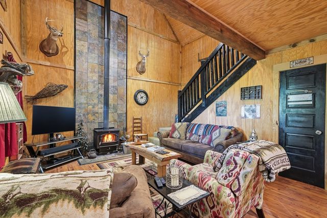 955 Mull Drive, Mineral Bluff, GA 30559