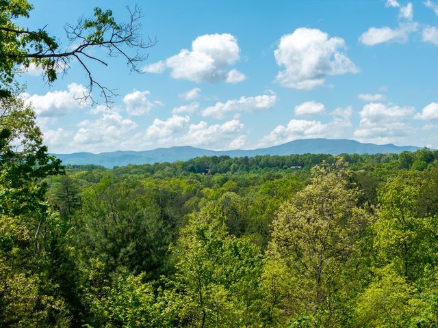 955 Mull Drive, Mineral Bluff, GA 30559