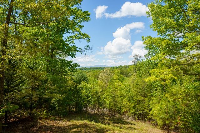 955 Mull Drive, Mineral Bluff, GA 30559