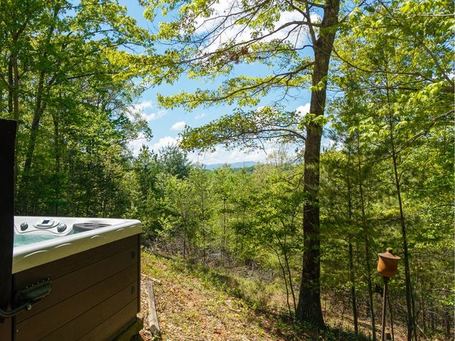 955 Mull Drive, Mineral Bluff, GA 30559