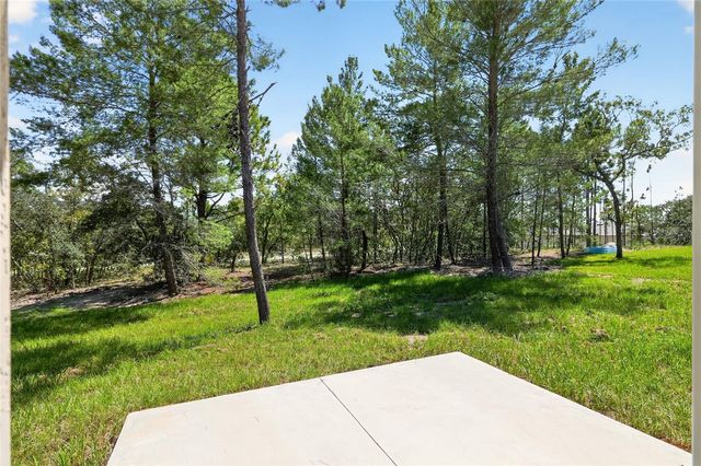 10260 N SPAULDING DRIVE, Citrus Springs, FL 34433
