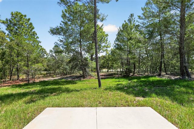10260 N SPAULDING DRIVE, Citrus Springs, FL 34433