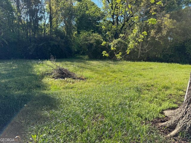 313 Carter Street, Greenville, GA 30222