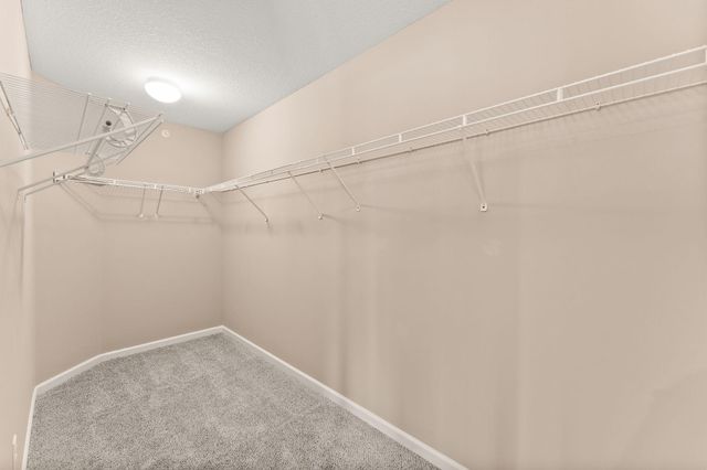 4311 Corn Silk Lane, Woodbury, MN 55129