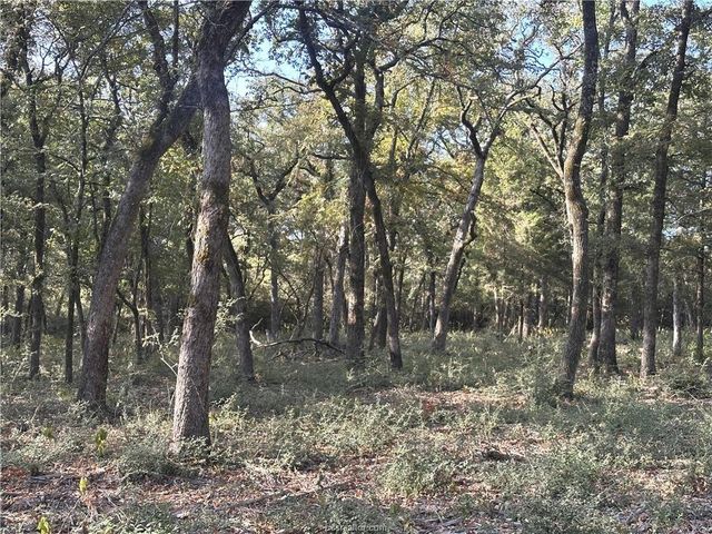 5997 County Road 308, Caldwell, TX 77836