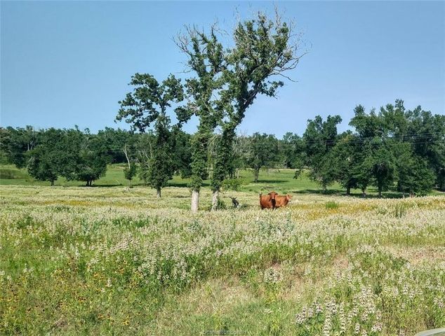 5997 County Road 308, Caldwell, TX 77836