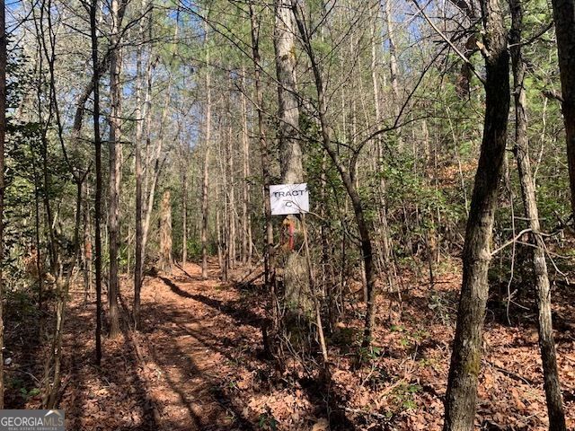 0 East New Hope Road TRACT C, Ellijay, GA 30536