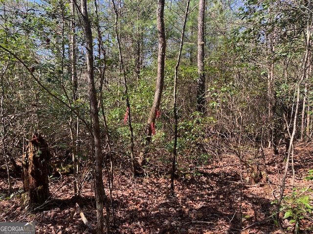 0 East New Hope Road TRACT C, Ellijay, GA 30536