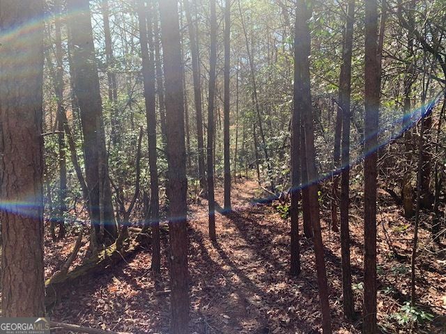 0 East New Hope Road TRACT C, Ellijay, GA 30536