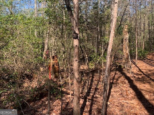 0 East New Hope Road TRACT C, Ellijay, GA 30536