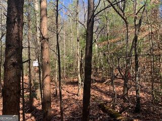 0 East New Hope Road TRACT C, Ellijay, GA 30536