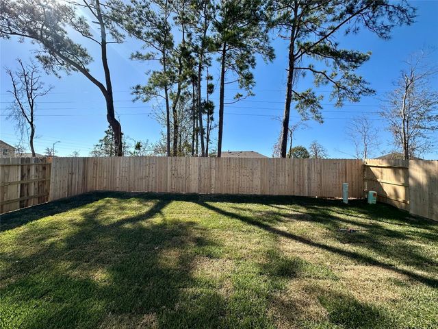 438 Southern Magnolia Way, Magnolia, TX 77354