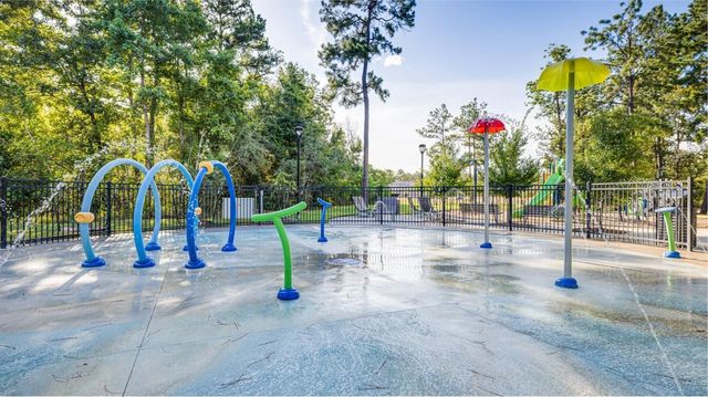 438 Southern Magnolia Way, Magnolia, TX 77354