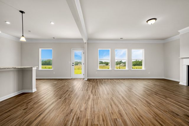117 Townsend Way, Chapel Hill, TN 37034