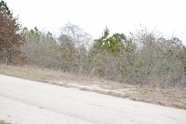 TBD Lot 858 Mamalu DR, Bastrop, TX 78602