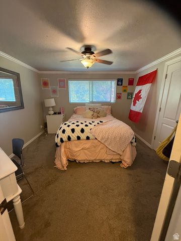 1075 E 300 N, Springville, UT 84663