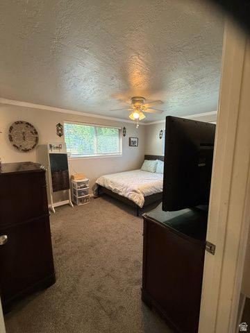 1075 E 300 N, Springville, UT 84663