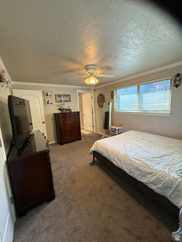 1075 E 300 N, Springville, UT 84663