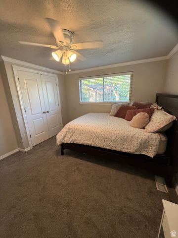 1075 E 300 N, Springville, UT 84663