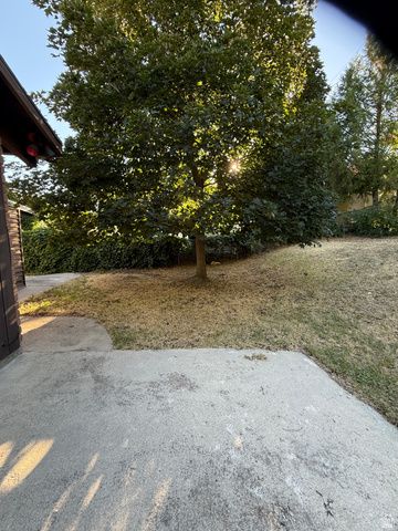 1075 E 300 N, Springville, UT 84663