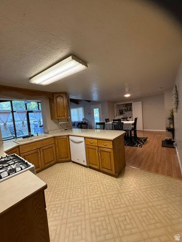 1075 E 300 N, Springville, UT 84663