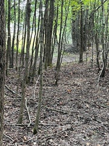 667 Maple Bend Rd, Winchester, TN 37398