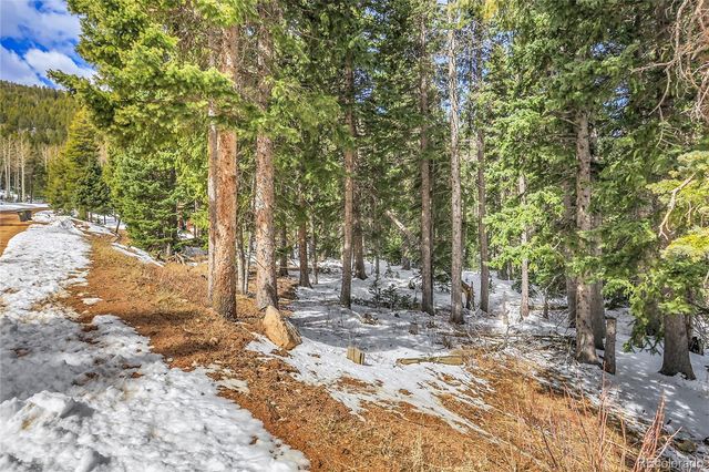 10549 Christopher Drive, Conifer, CO 80433