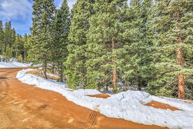 10549 Christopher Drive, Conifer, CO 80433