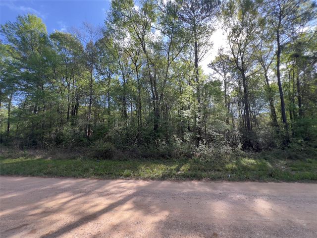 19109 Bedford, New Caney, TX 77357