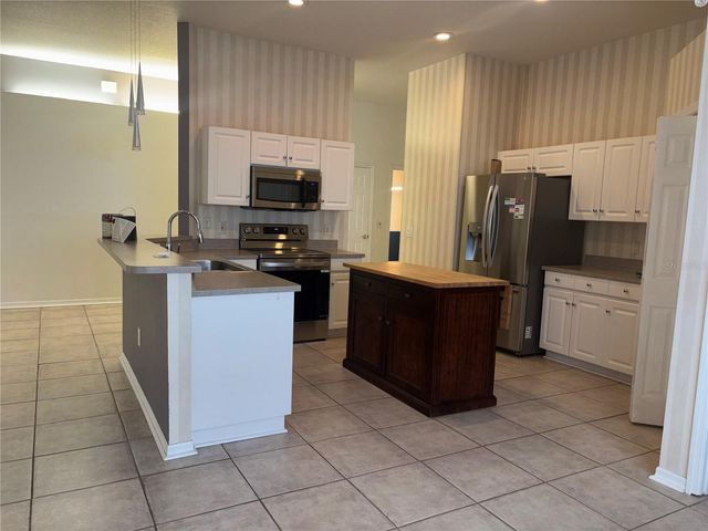 10132 HEATHER SOUND DRIVE, Tampa, FL 33647